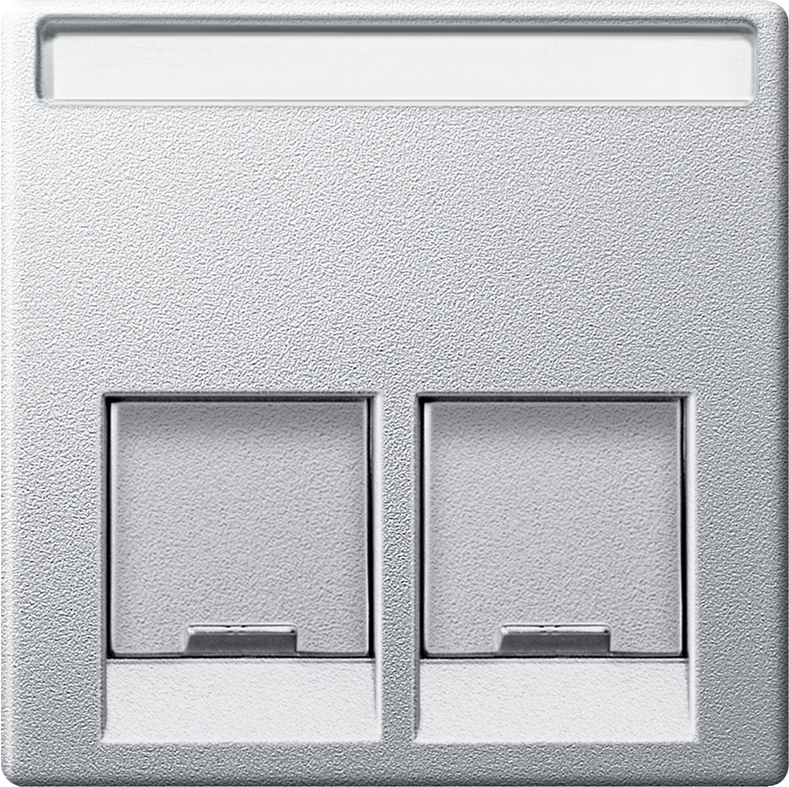 Лицев панел за 2xRJ45 цвят Алуминий System M  Merten SE, SCHNEIDER ELECTRIC, MTN466560