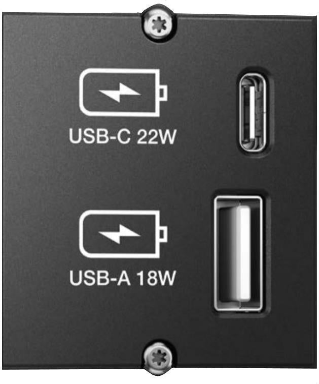 Модул CM с USB A+C (за зареждане), с кабел 0.2м, цвят Черен, Bachmann, BACHMANN, B917.227