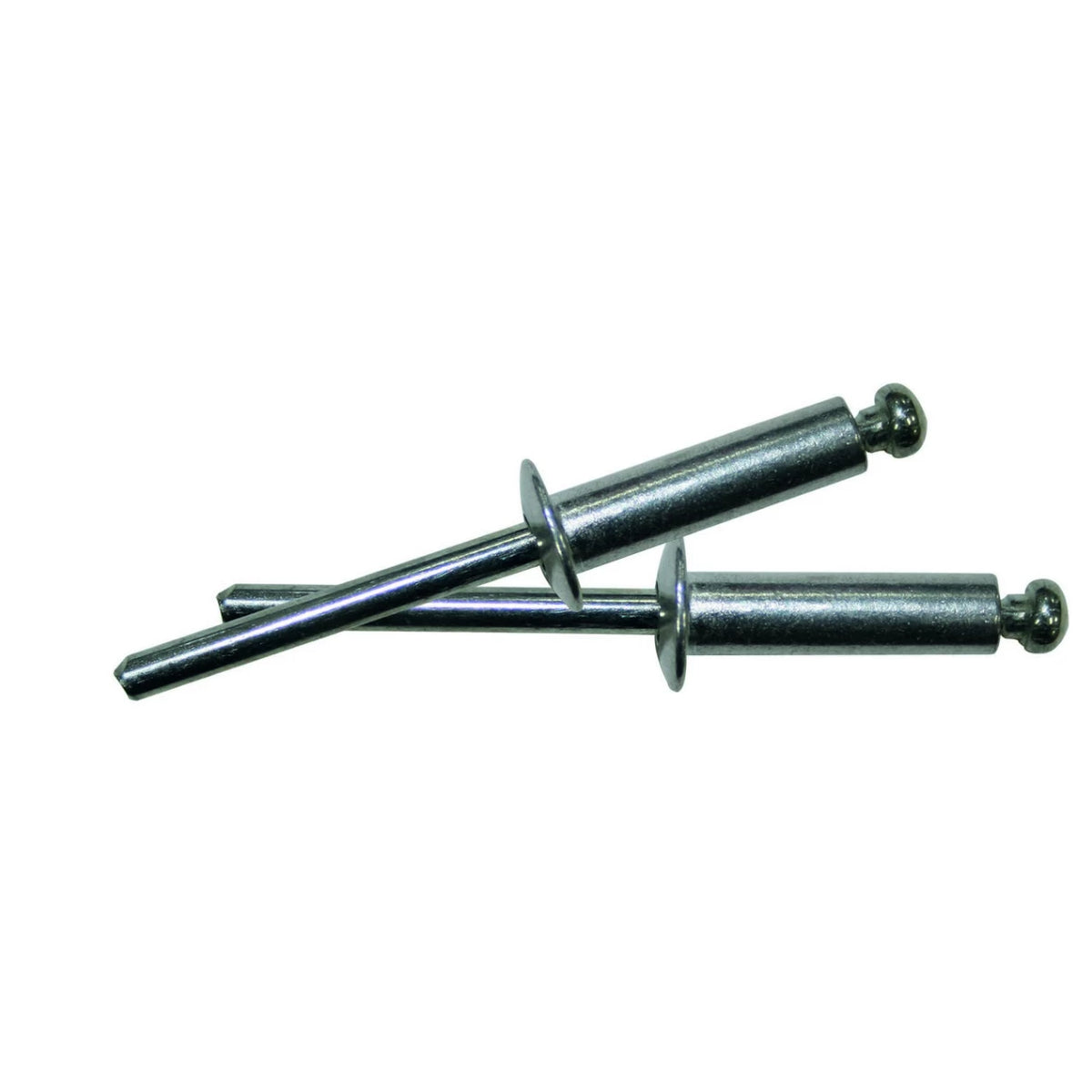 Попнитове 50 бр. 2,4х6 mm, XG53705, BOLTER