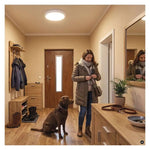 Плафон LED DN320 20W CCT 2000lm 120° 50000h IP65 FLERI EMOS, ZM3012