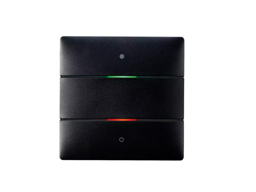 Пулт за управление iON2 BK 2х бутона LED цвят Черен LUXORliving Theben, KNX, 4801412