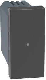 Ключ/димер ЖИЧЕН изисква неутрала 1 мод. Smart с Netatmo цвят Графит Light Now Bticino, NETATMO с LEGRAND & BTICINO, YD4411C