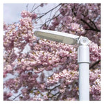 Улично осветително тяло LED 50W 4000К 6000lm 130° x 60° 36000h IP65 SOLIS EMOS