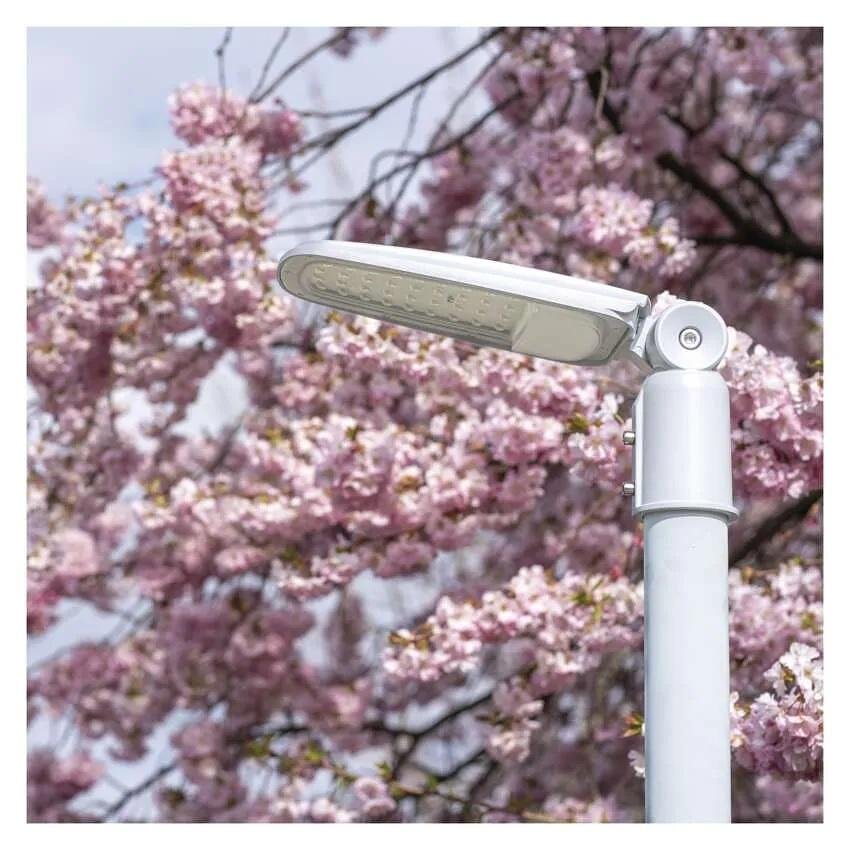 Улично осветително тяло LED 50W 4000К 6000lm 130° x 60° 36000h IP65 SOLIS EMOS