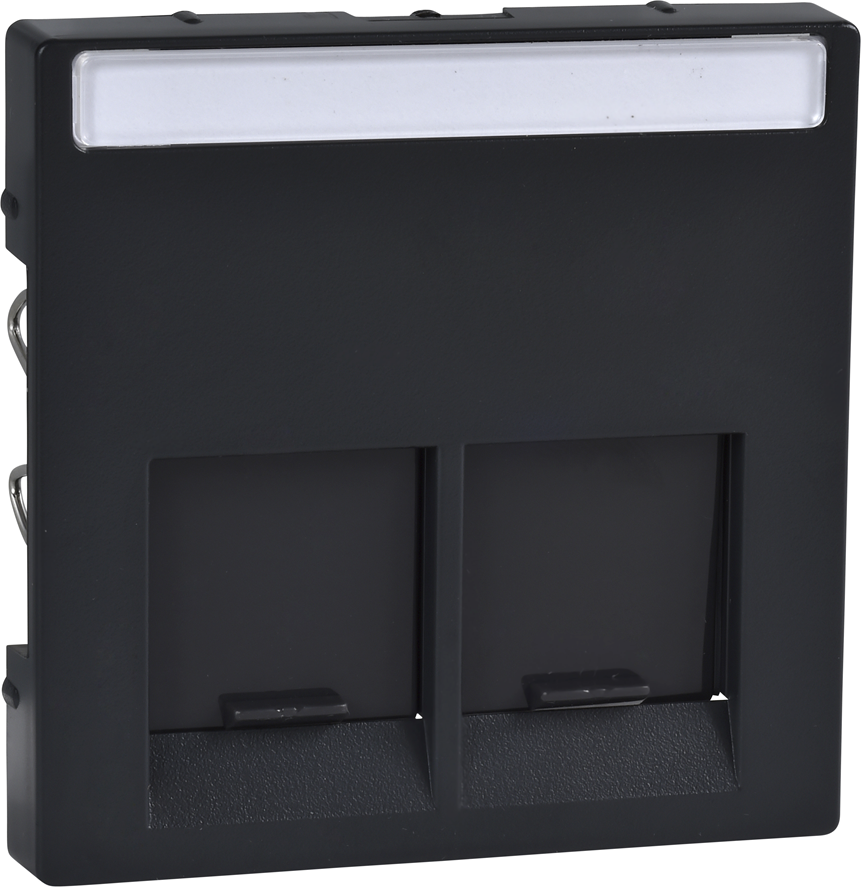 Лицев панел за 2xRJ45 цвят Антрацит System M  Merten SE, SCHNEIDER ELECTRIC, MTN466514